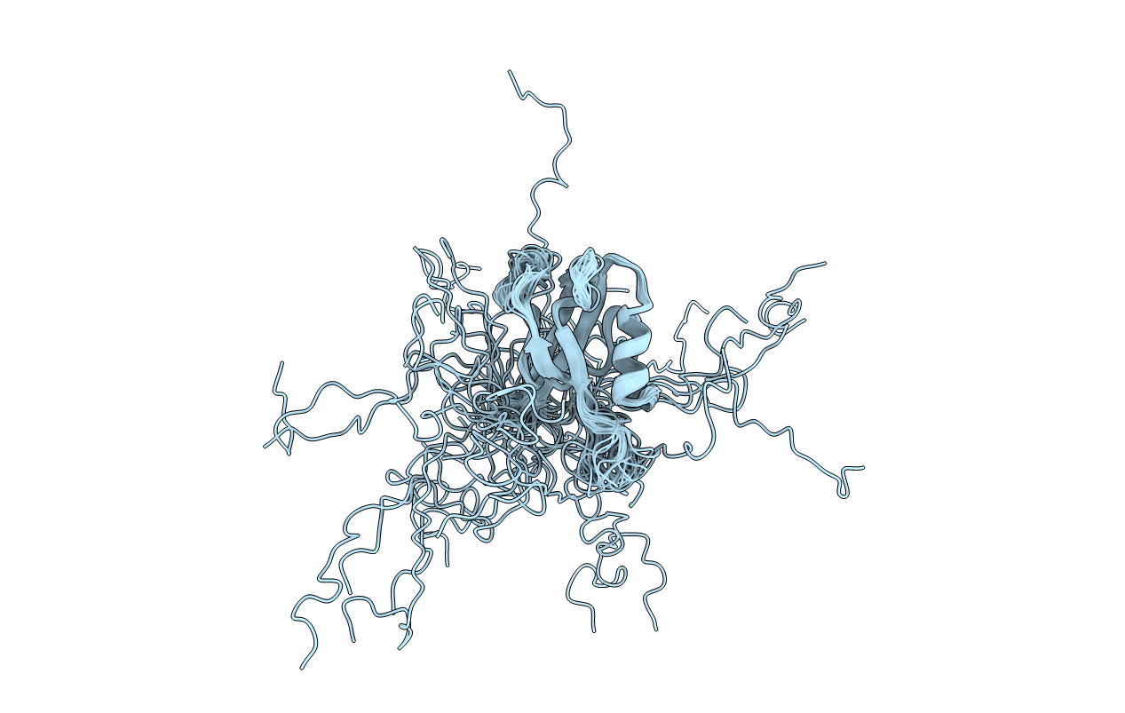 1I16 image