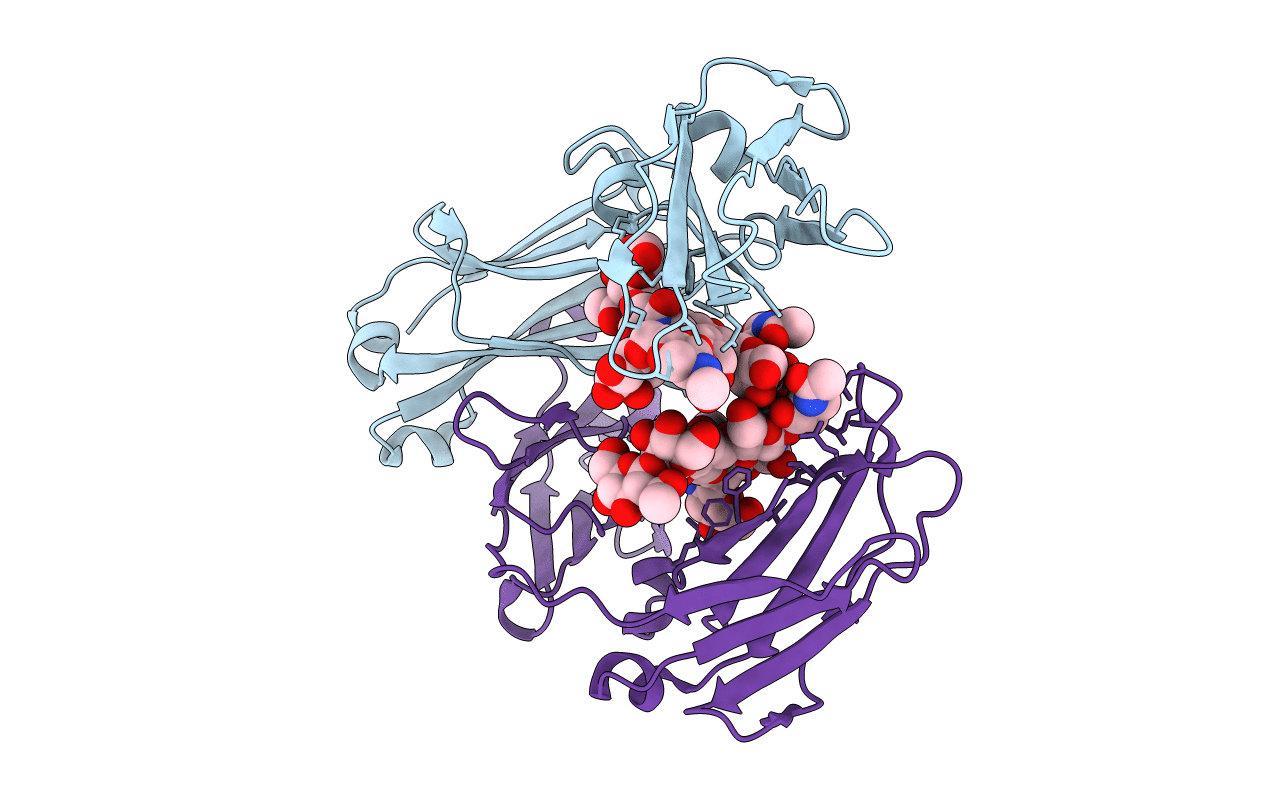 1I1C image