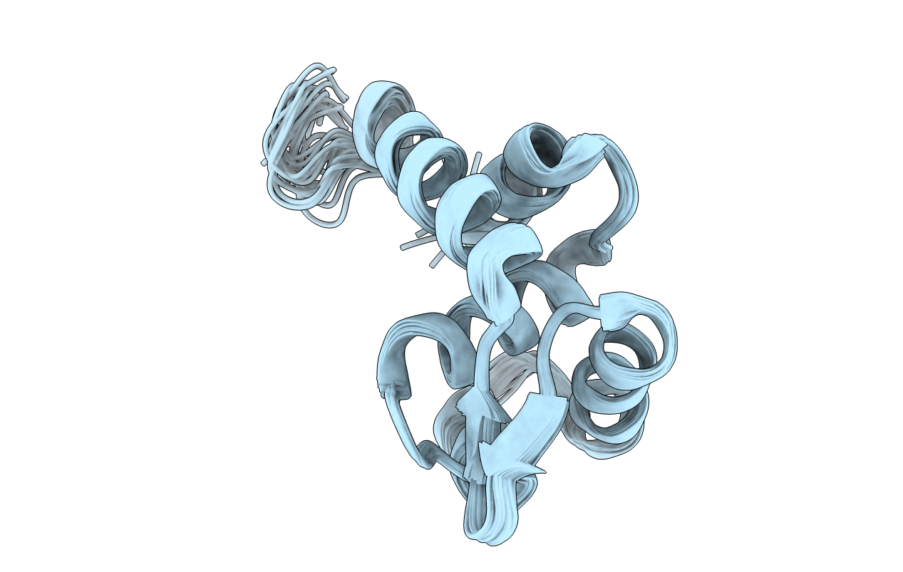 1I1s image