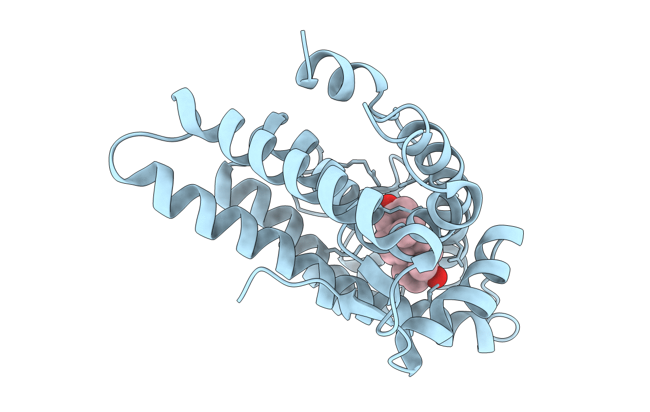 1I37 image