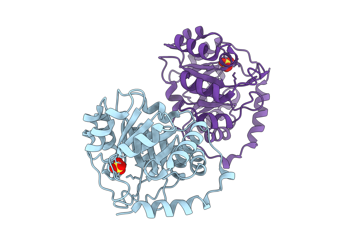 1I4N image
