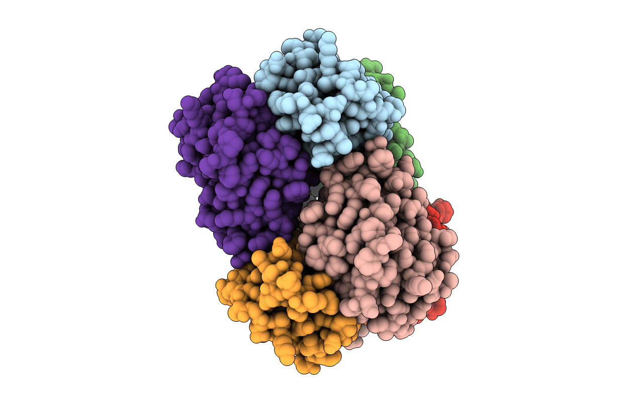 1I4Y image