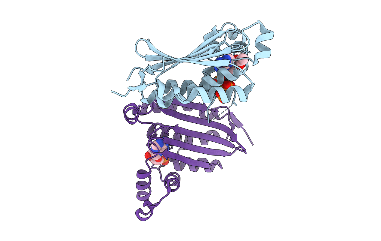 1I59 image