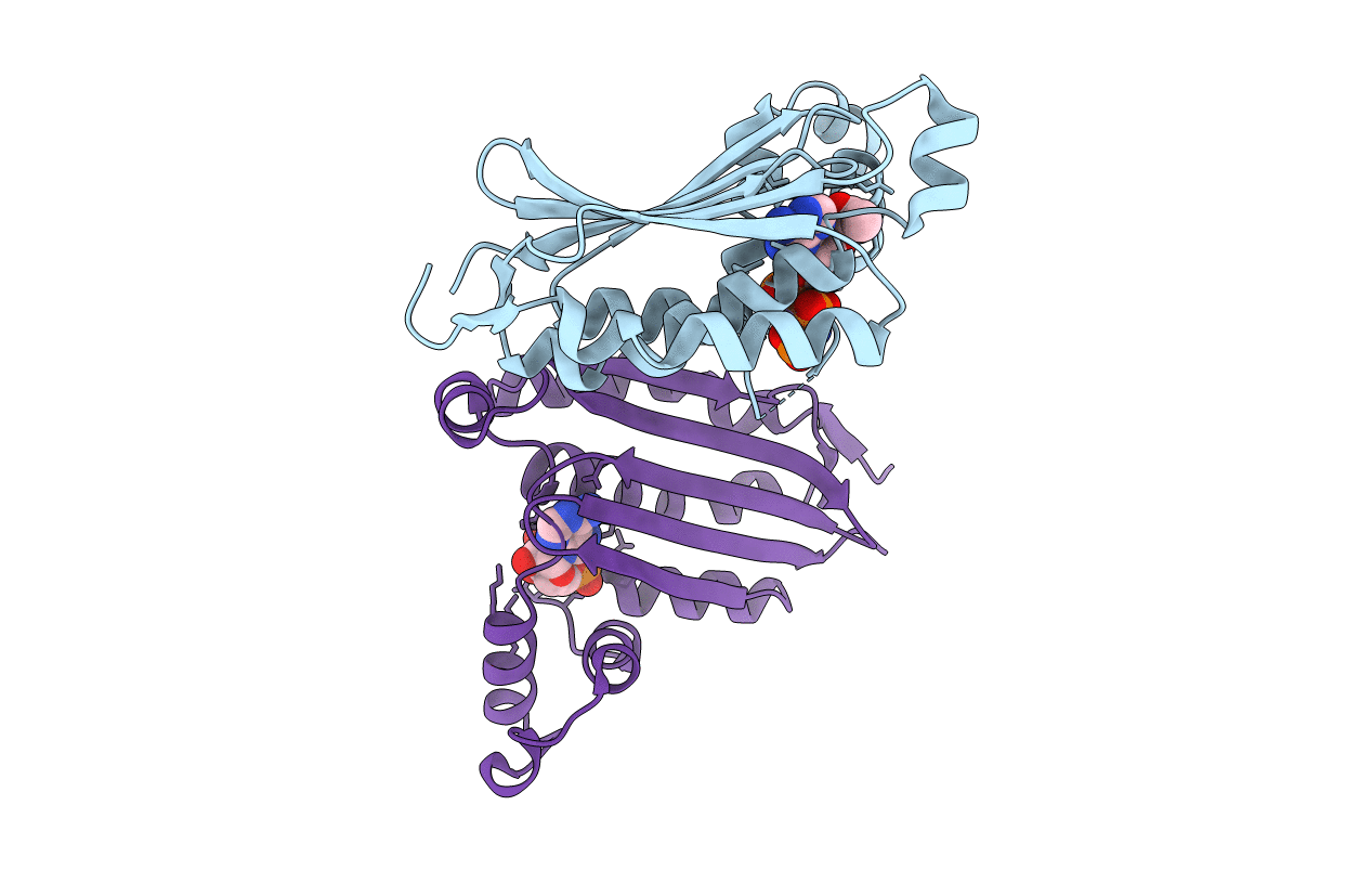 1I5B image