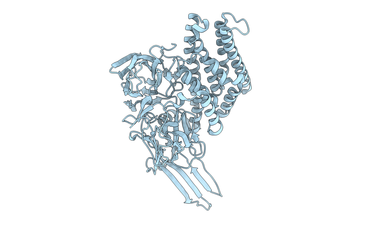 1I5P image