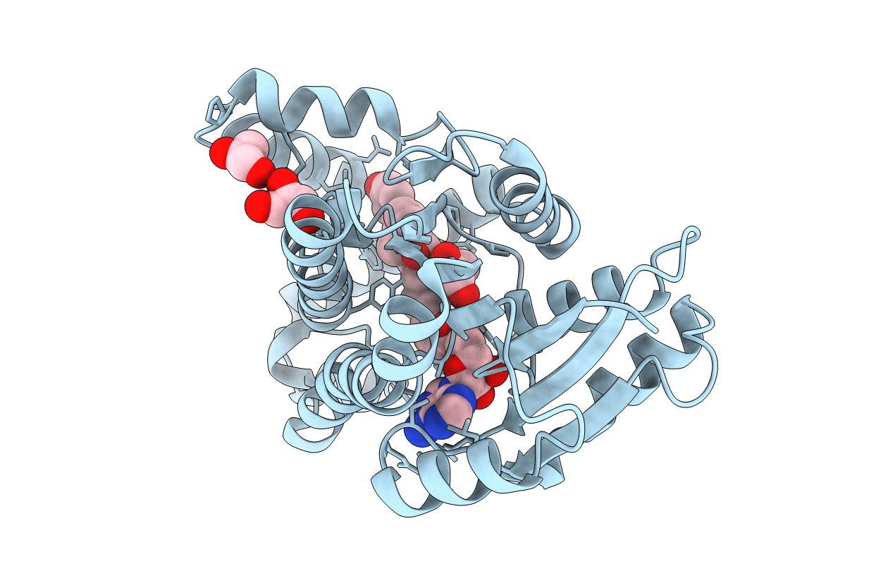 1I5R image
