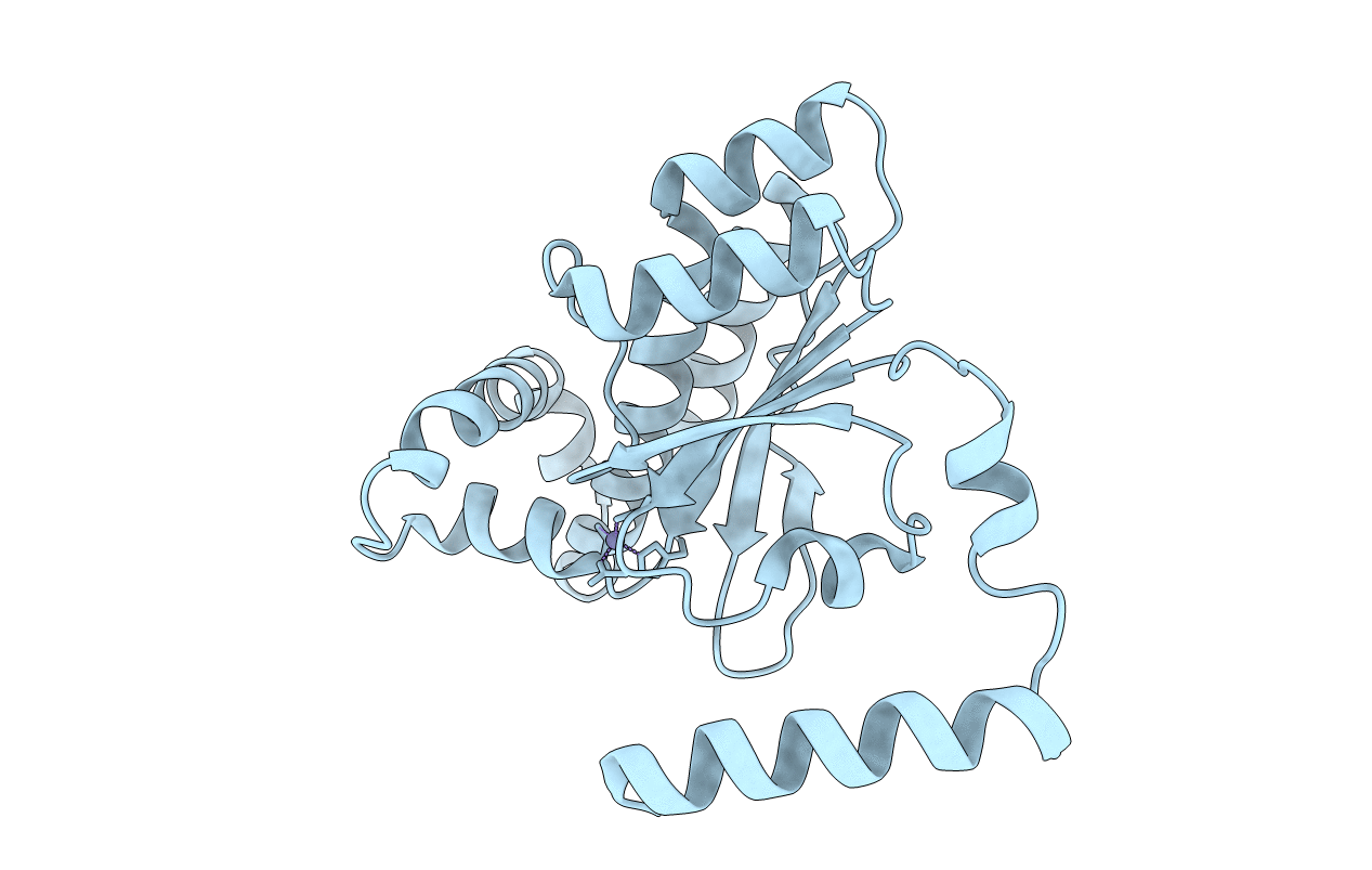 1I6P image