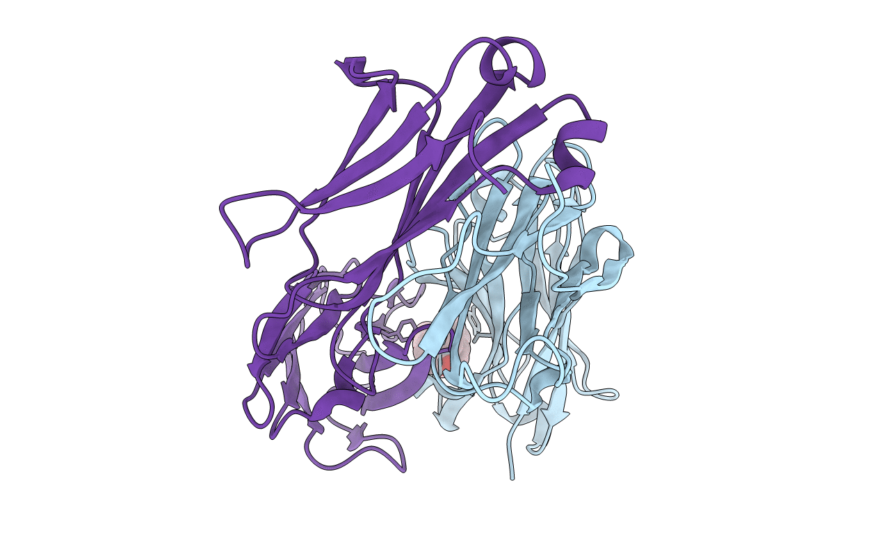 1I9J image