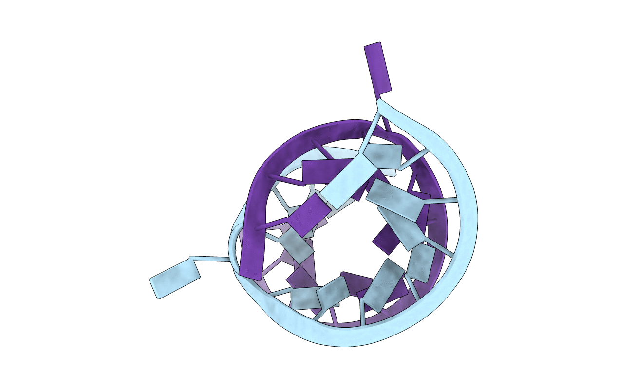 1I9X image