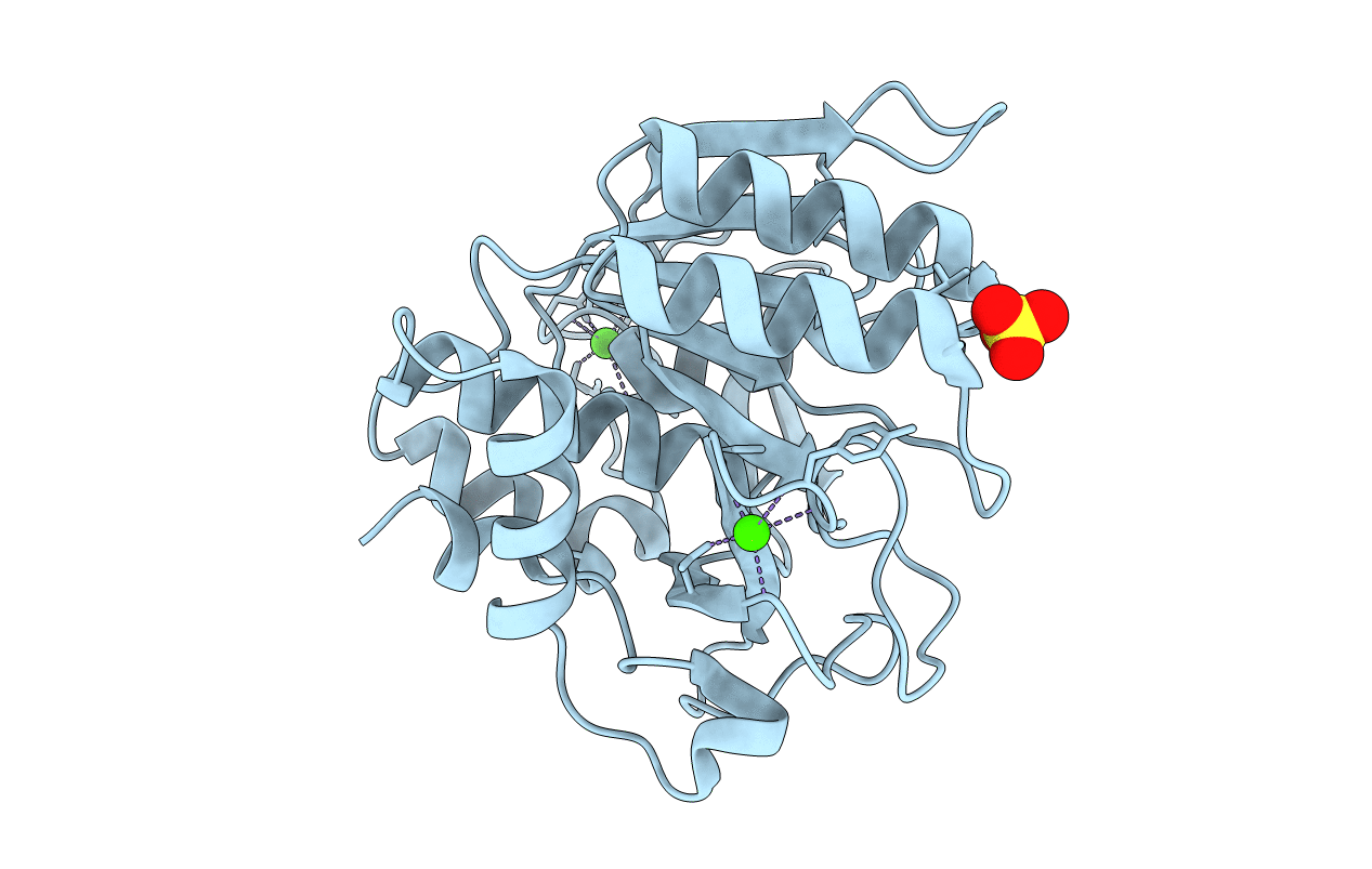 1IAV image