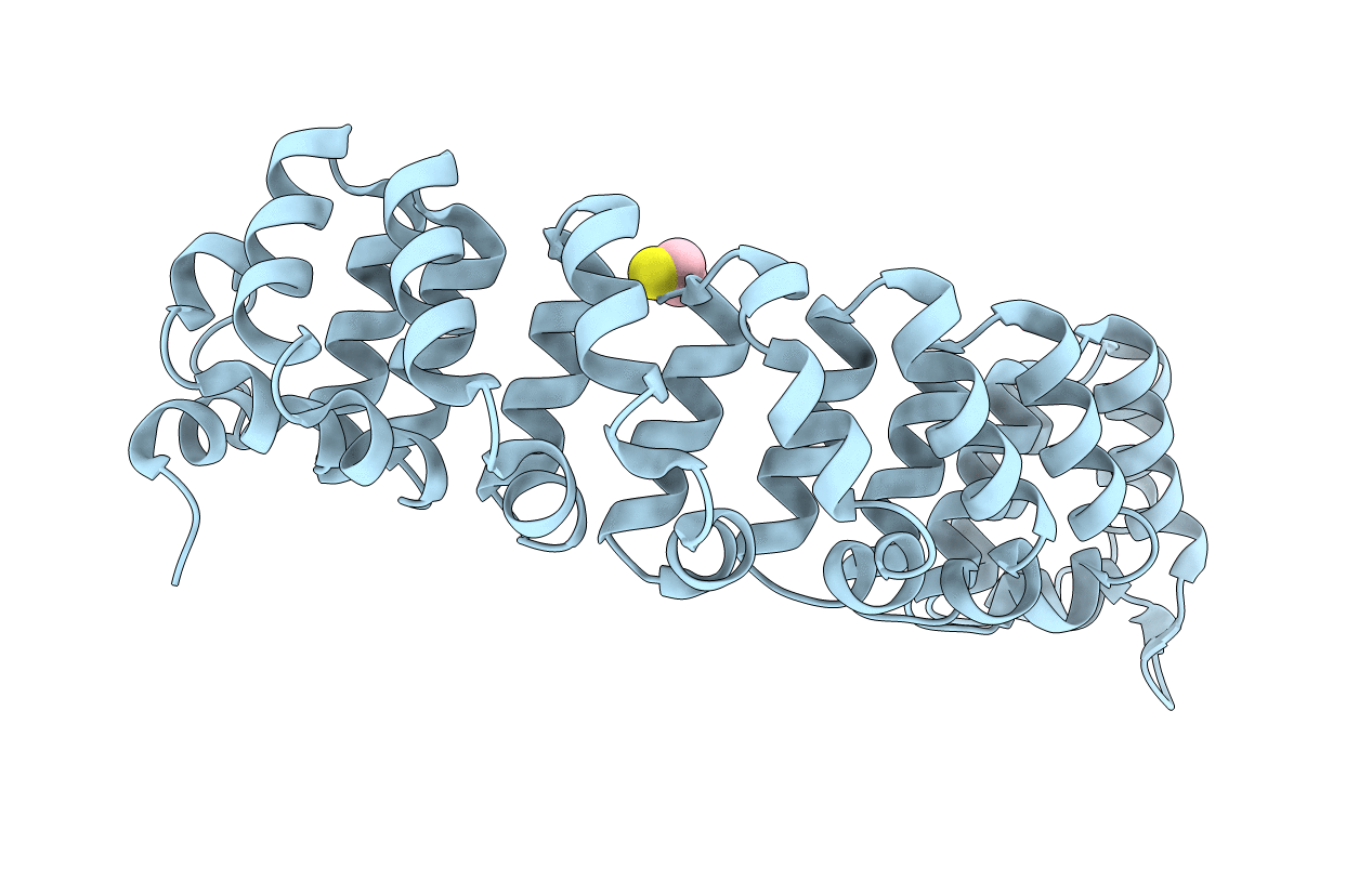 1IB2 image