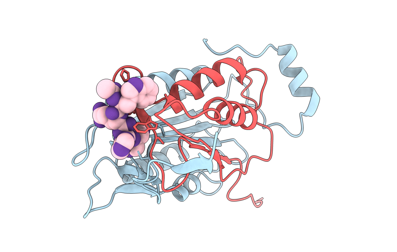 1IBC image