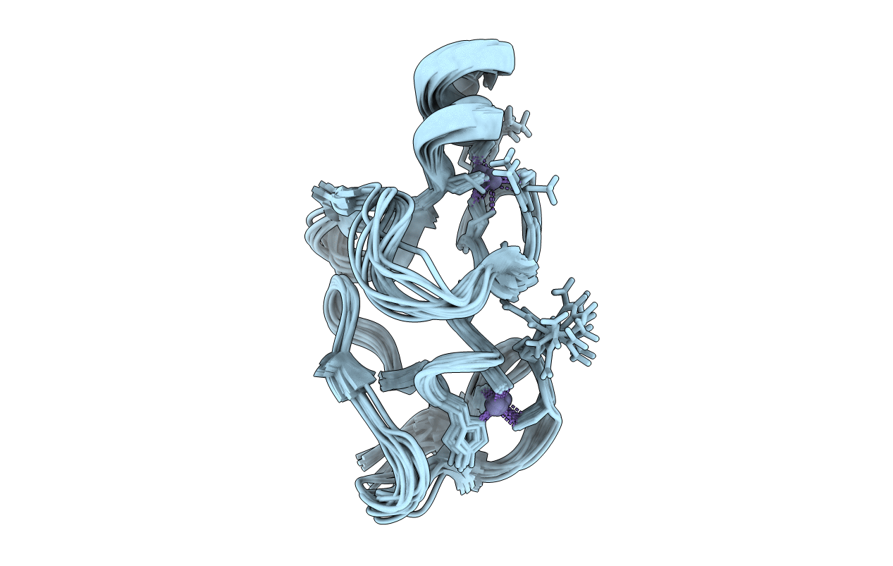 1IBI image