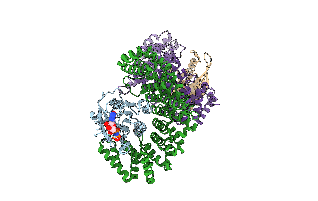 1IBR image
