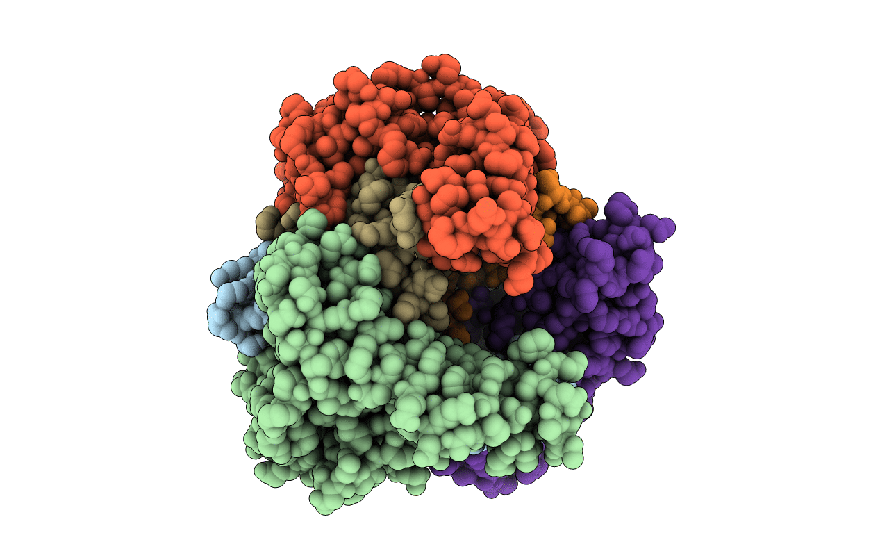 1IBT image