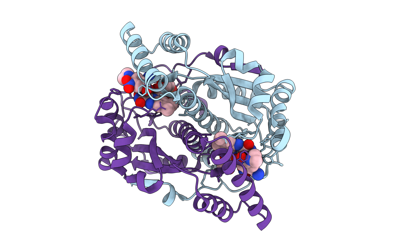 1IDT image