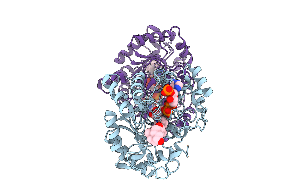 1IHI image