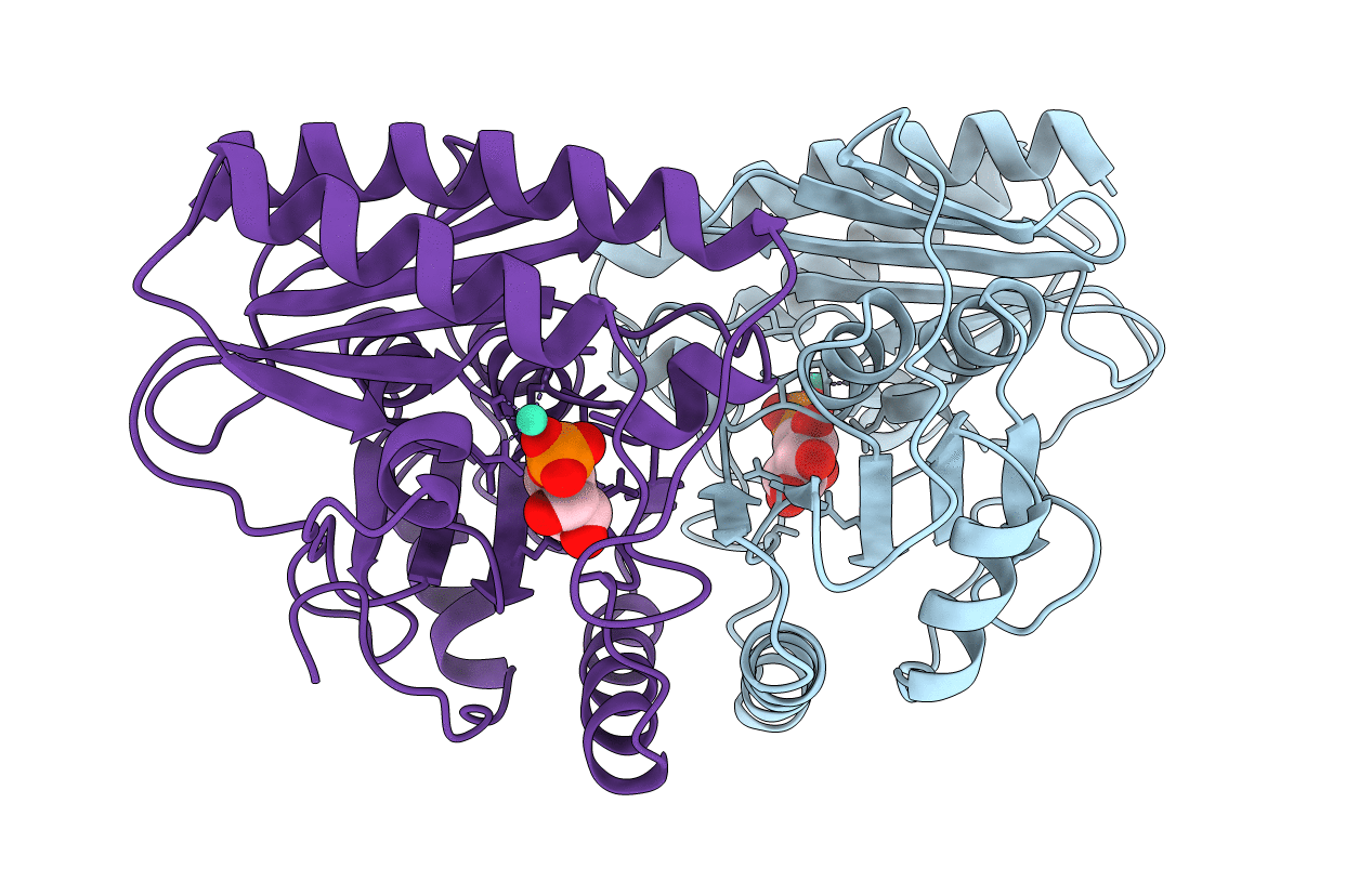 1IMB image