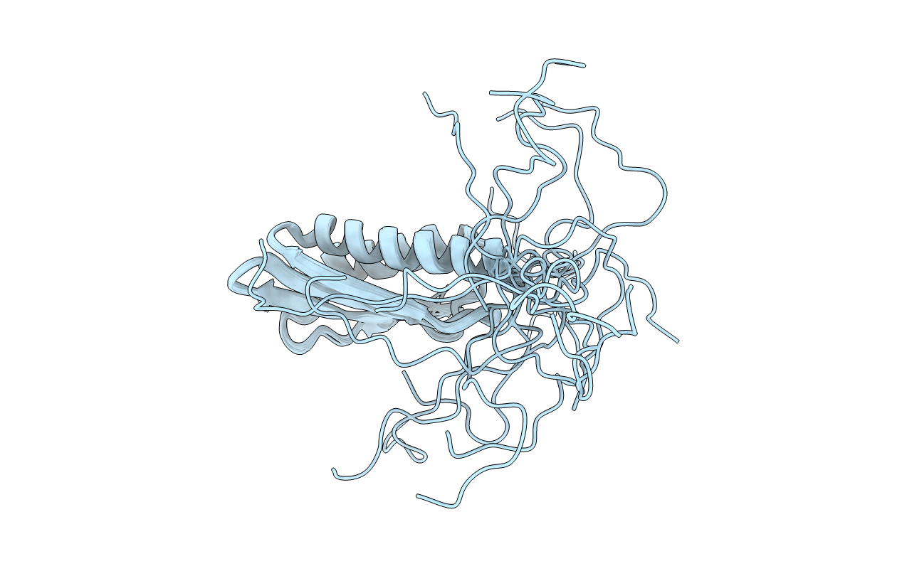 1IMU image