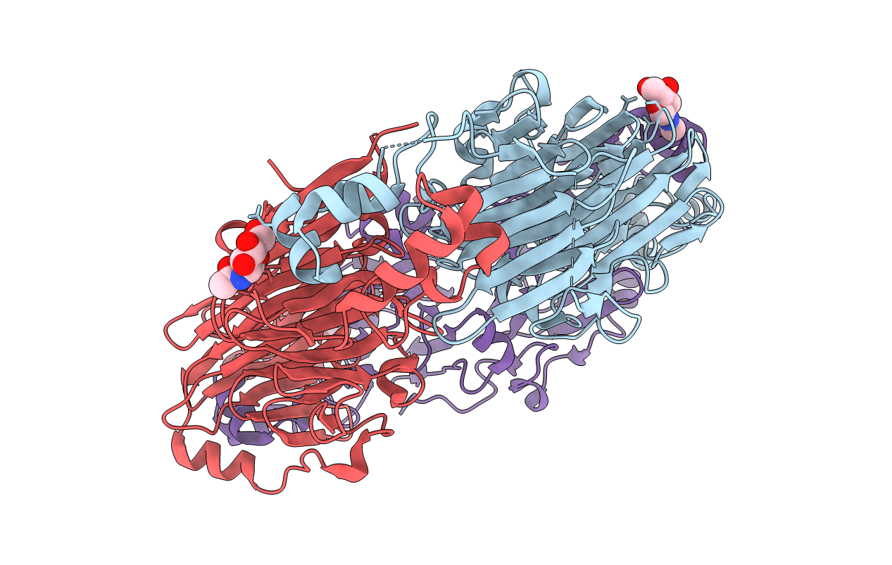 1IPJ image
