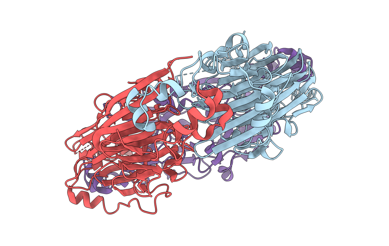 1IPK image
