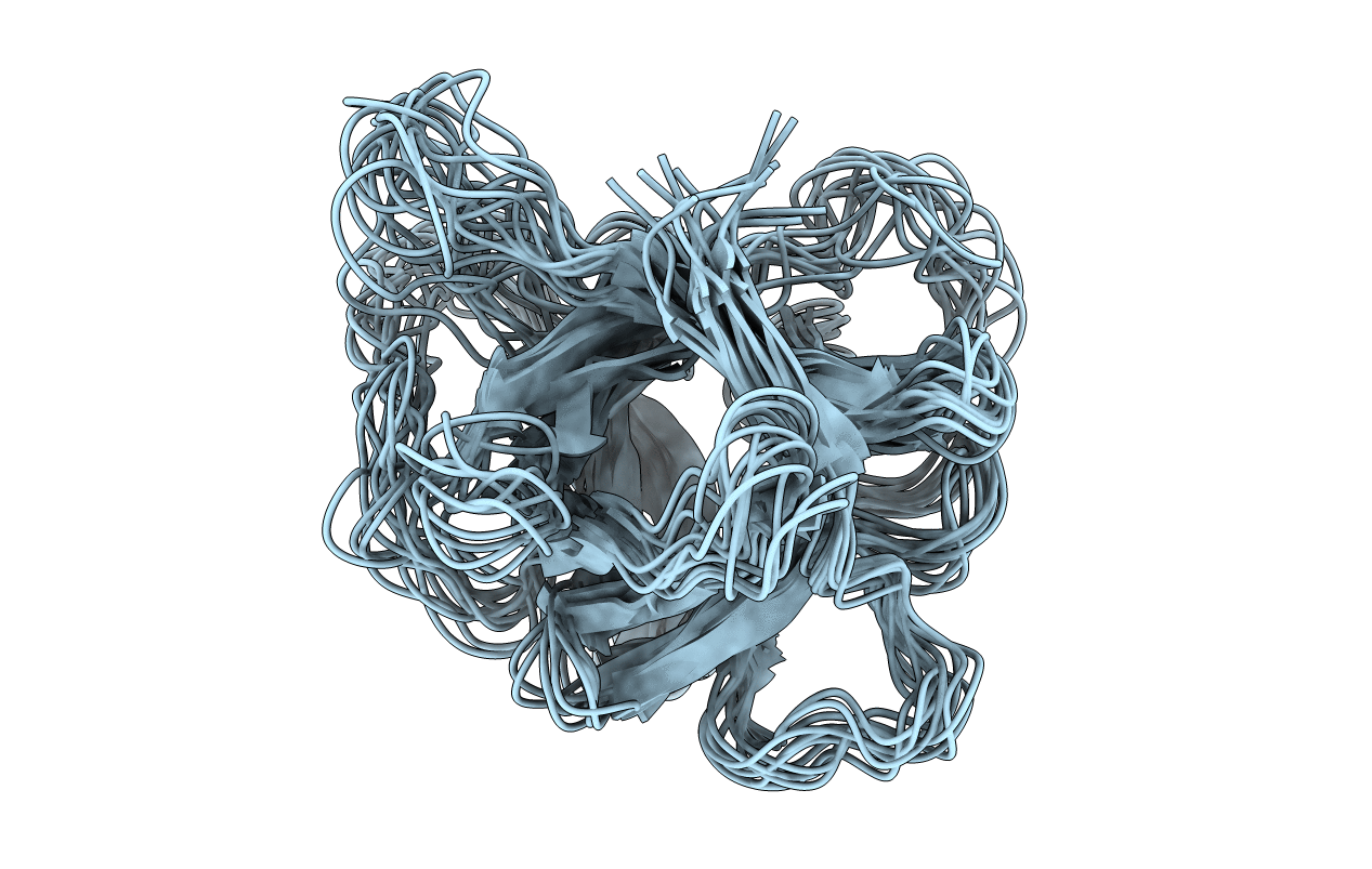 1IRP image