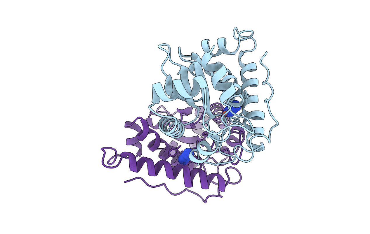 1ISC image