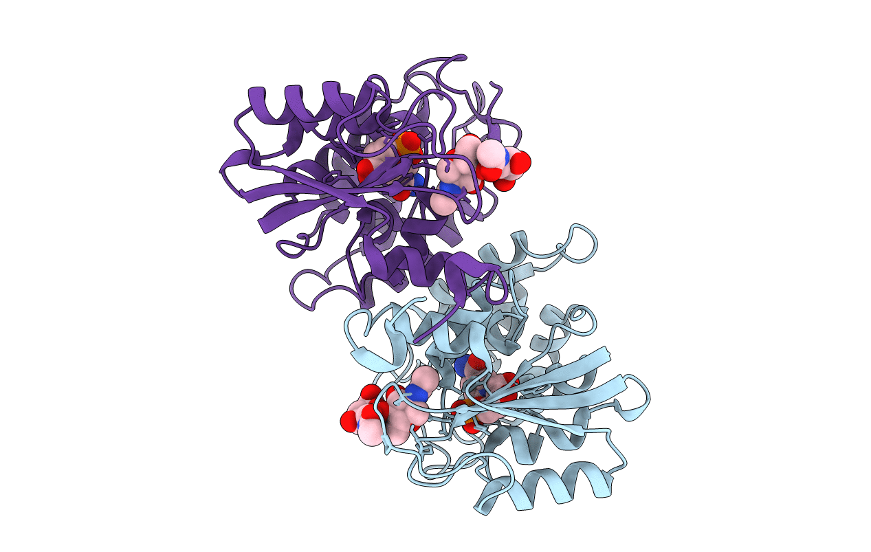 1ISJ image