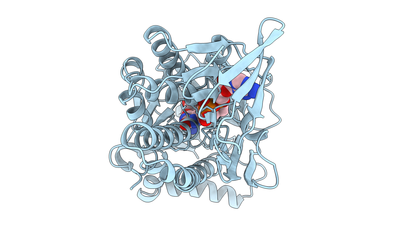 1IUS image
