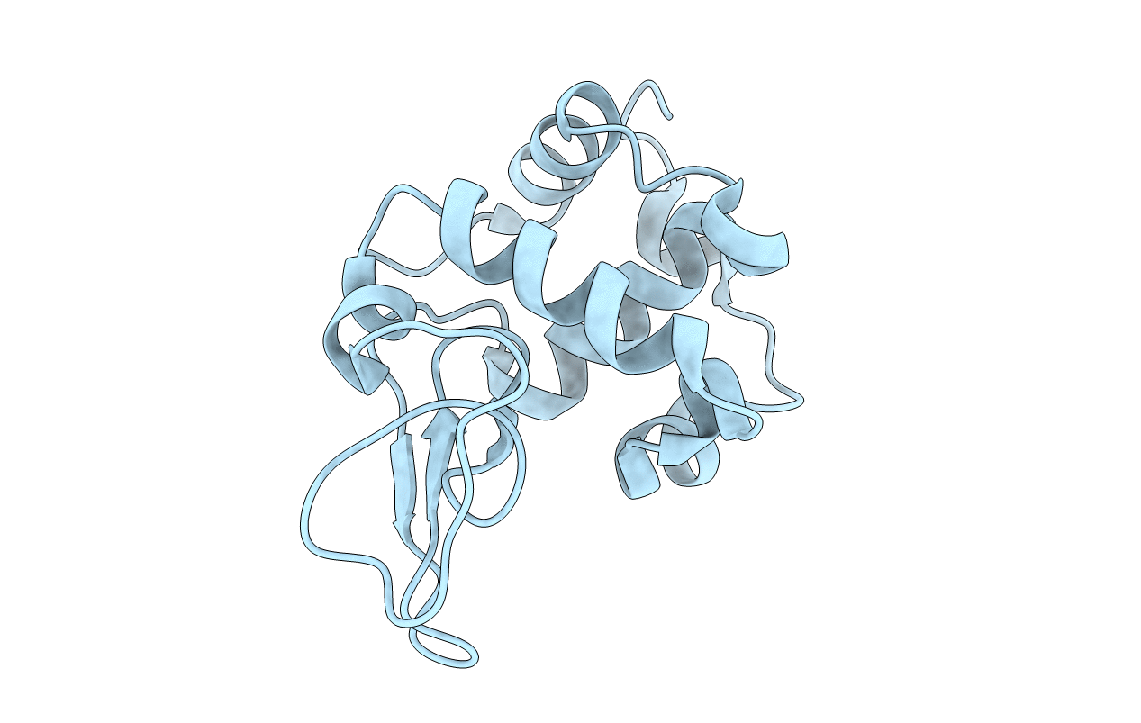 1IWT image