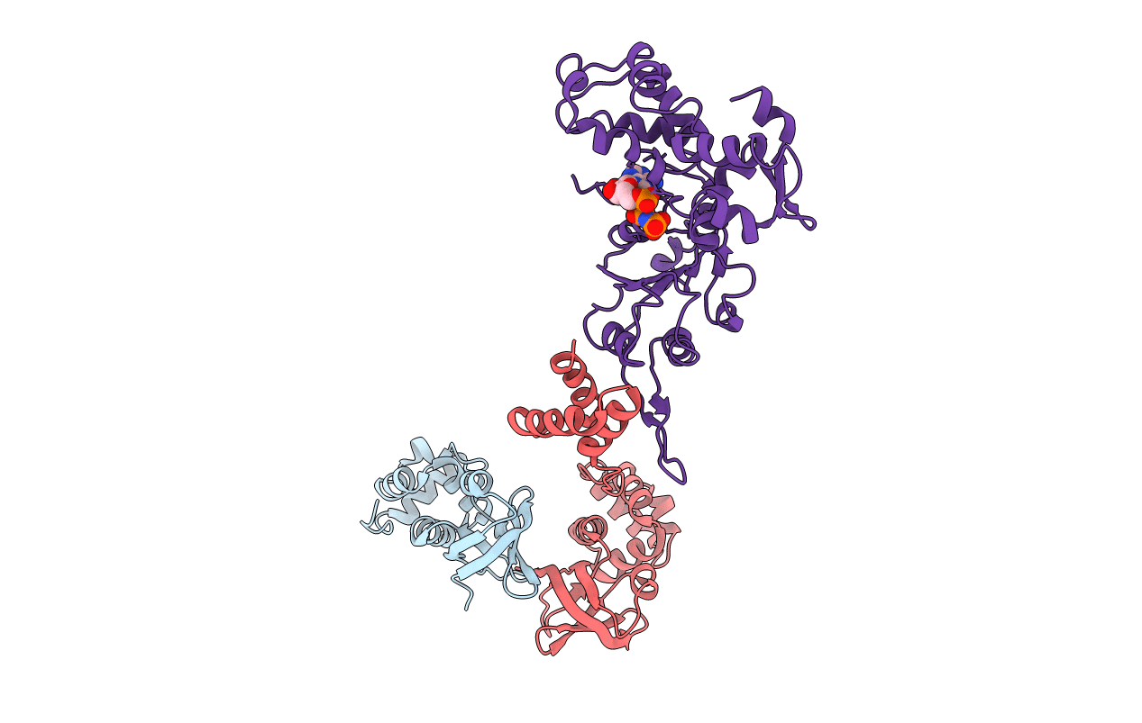 1IXR image