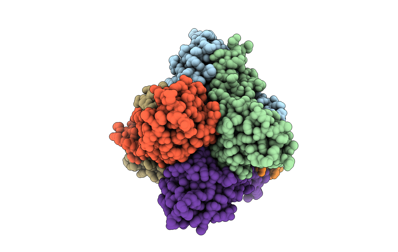1IXX image