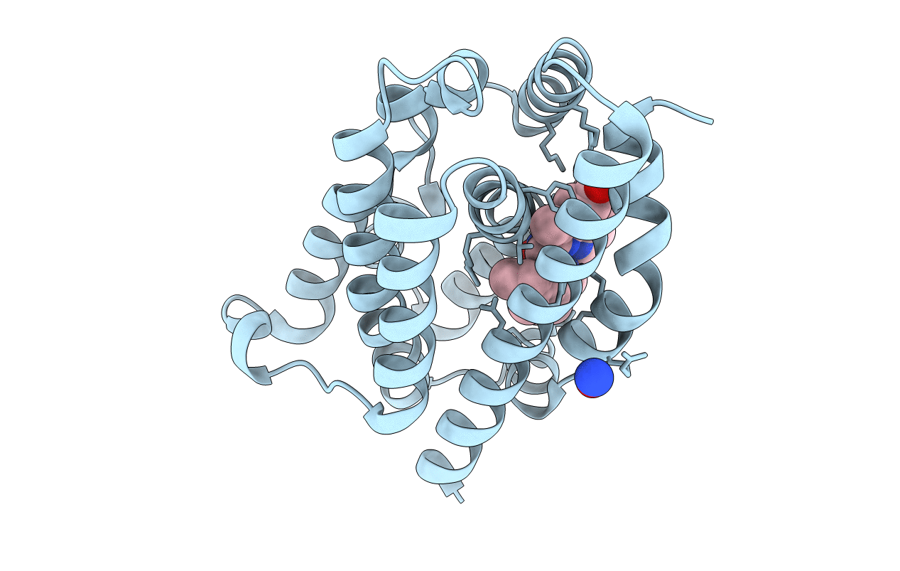 1J02 image