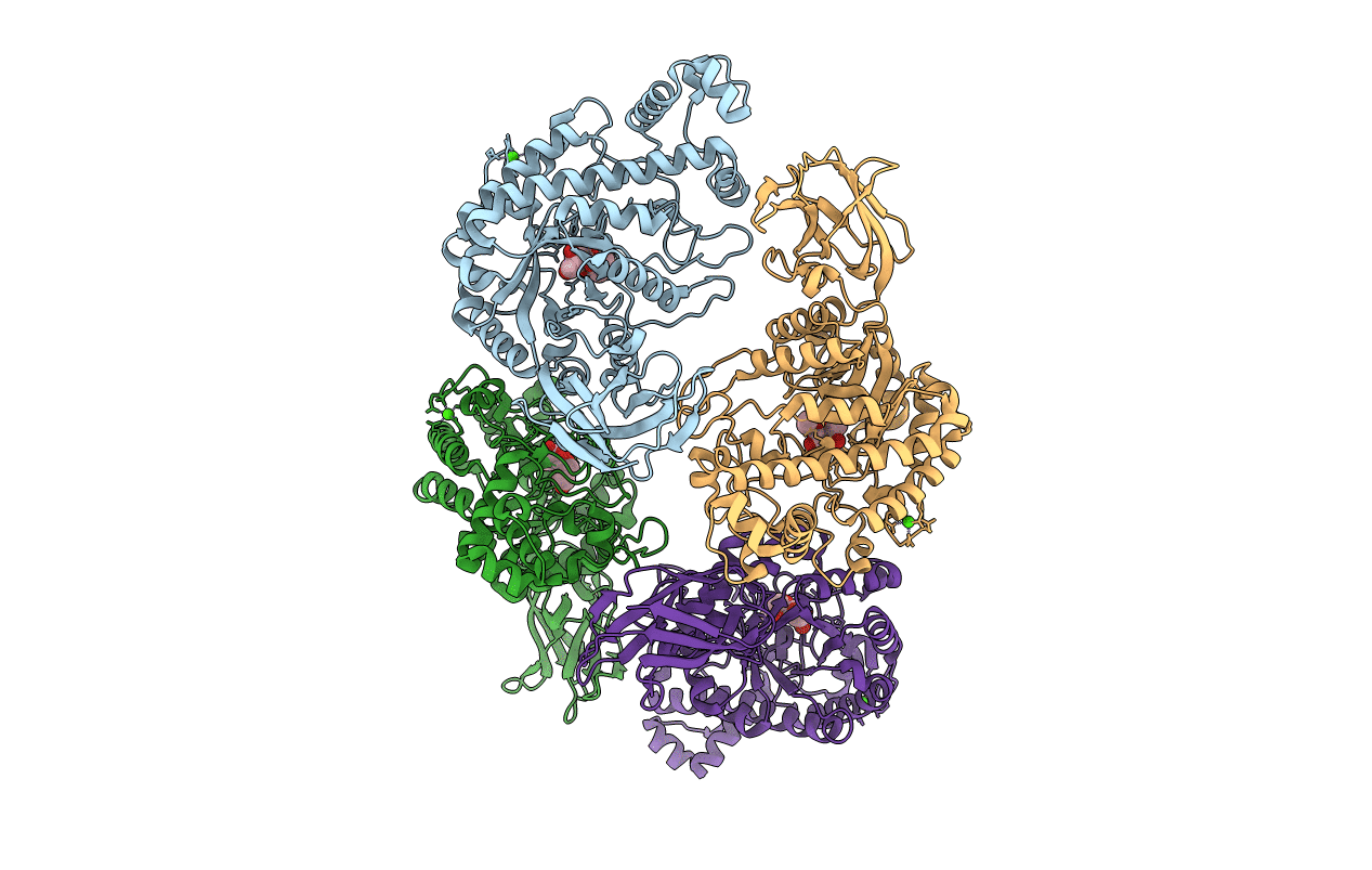 1J12 image