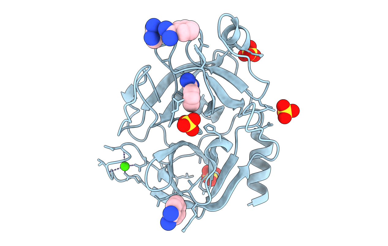 1J16 image