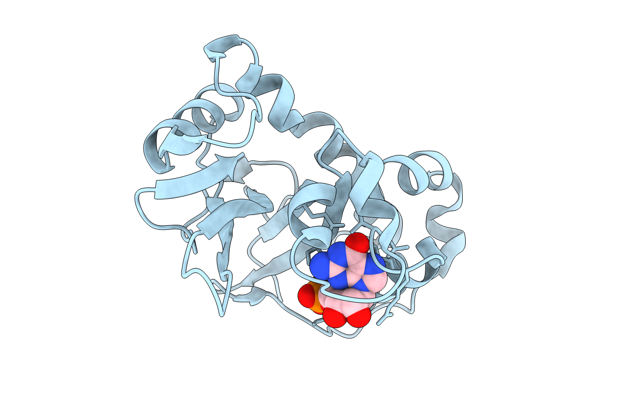 1J1F image