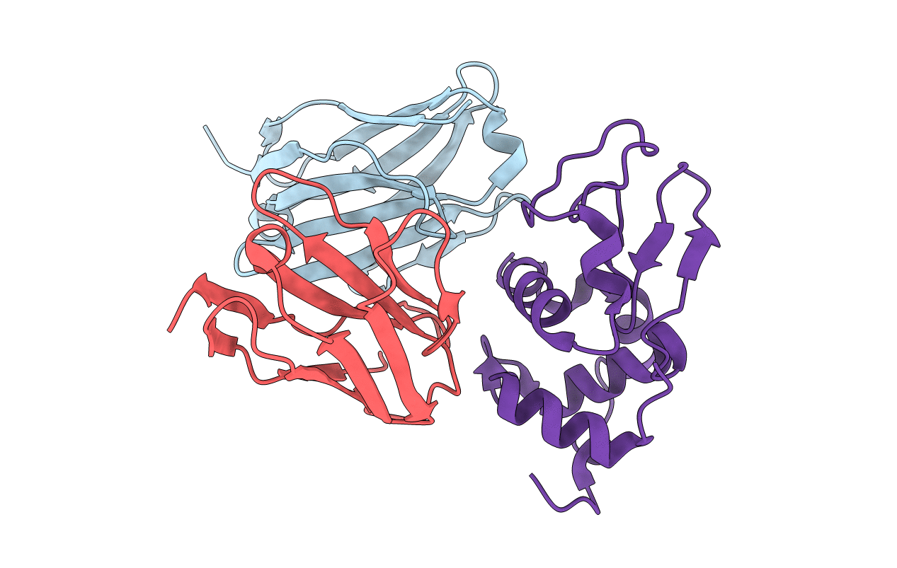 1J1O image