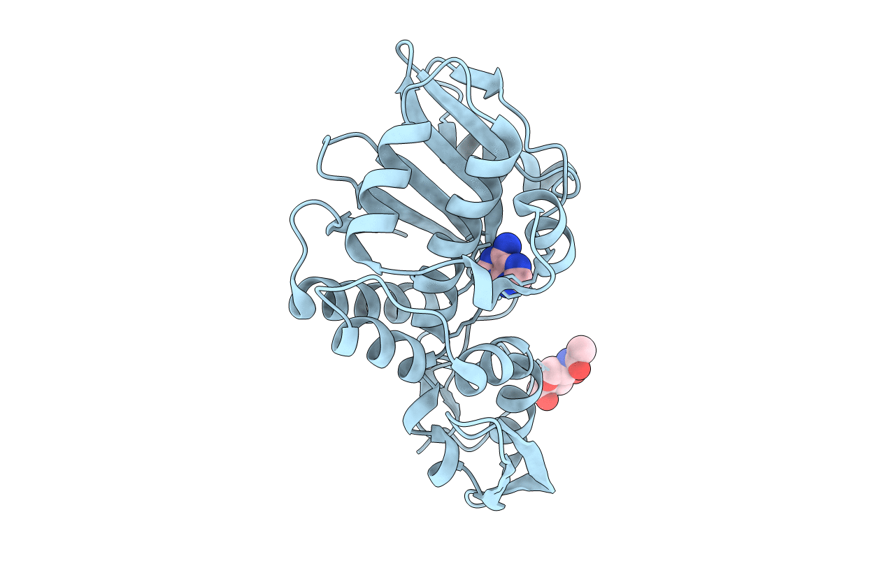 1J1R image