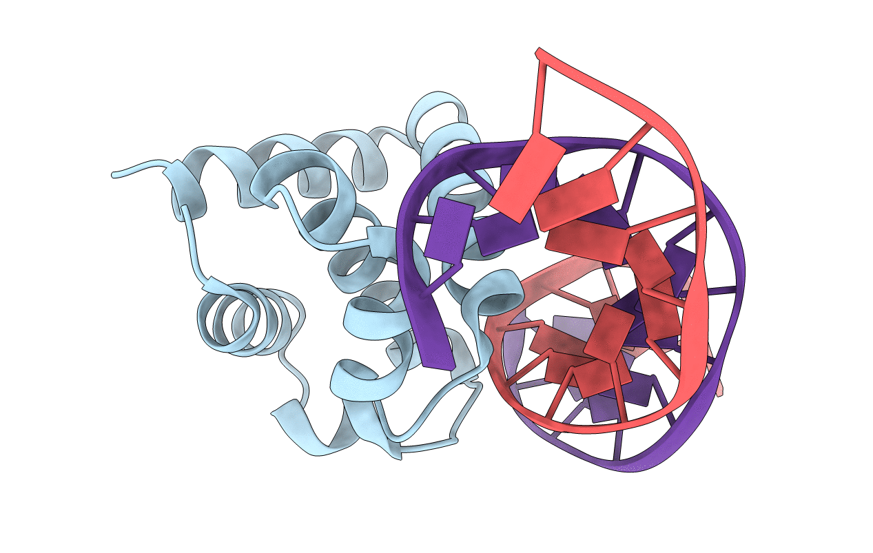 1J1V image