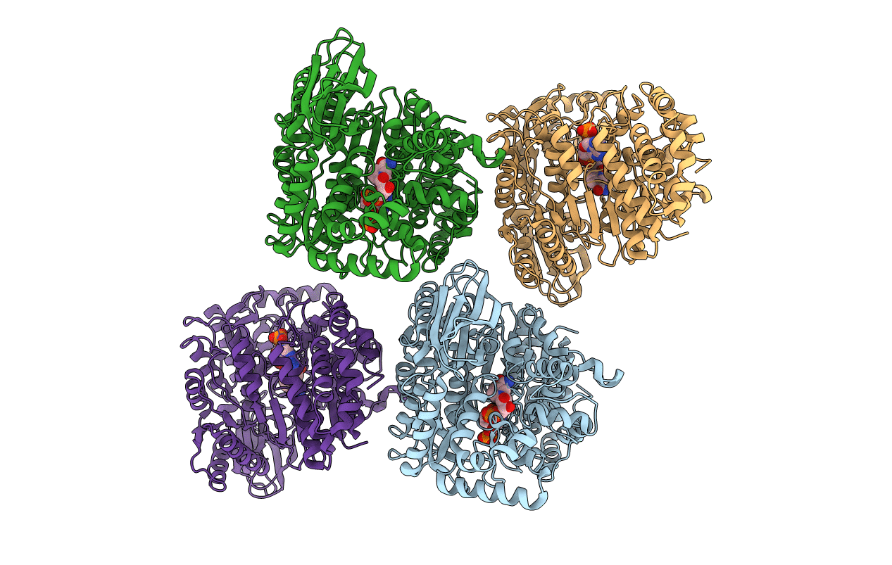 1J1W image