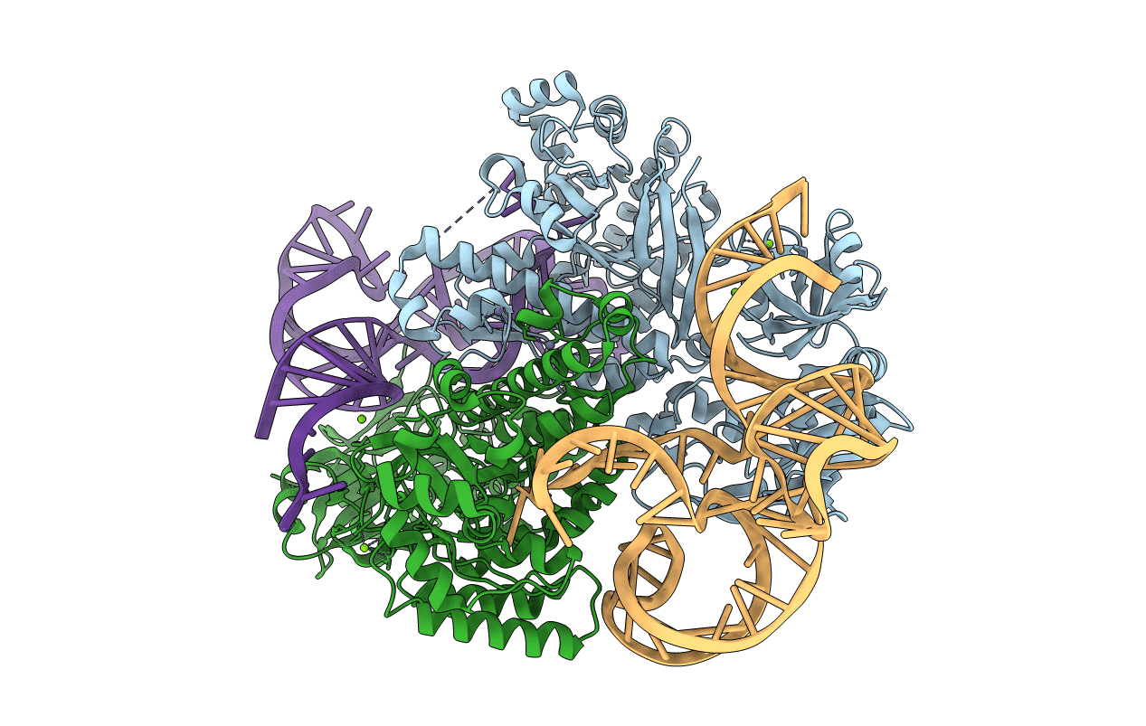 1J2B image