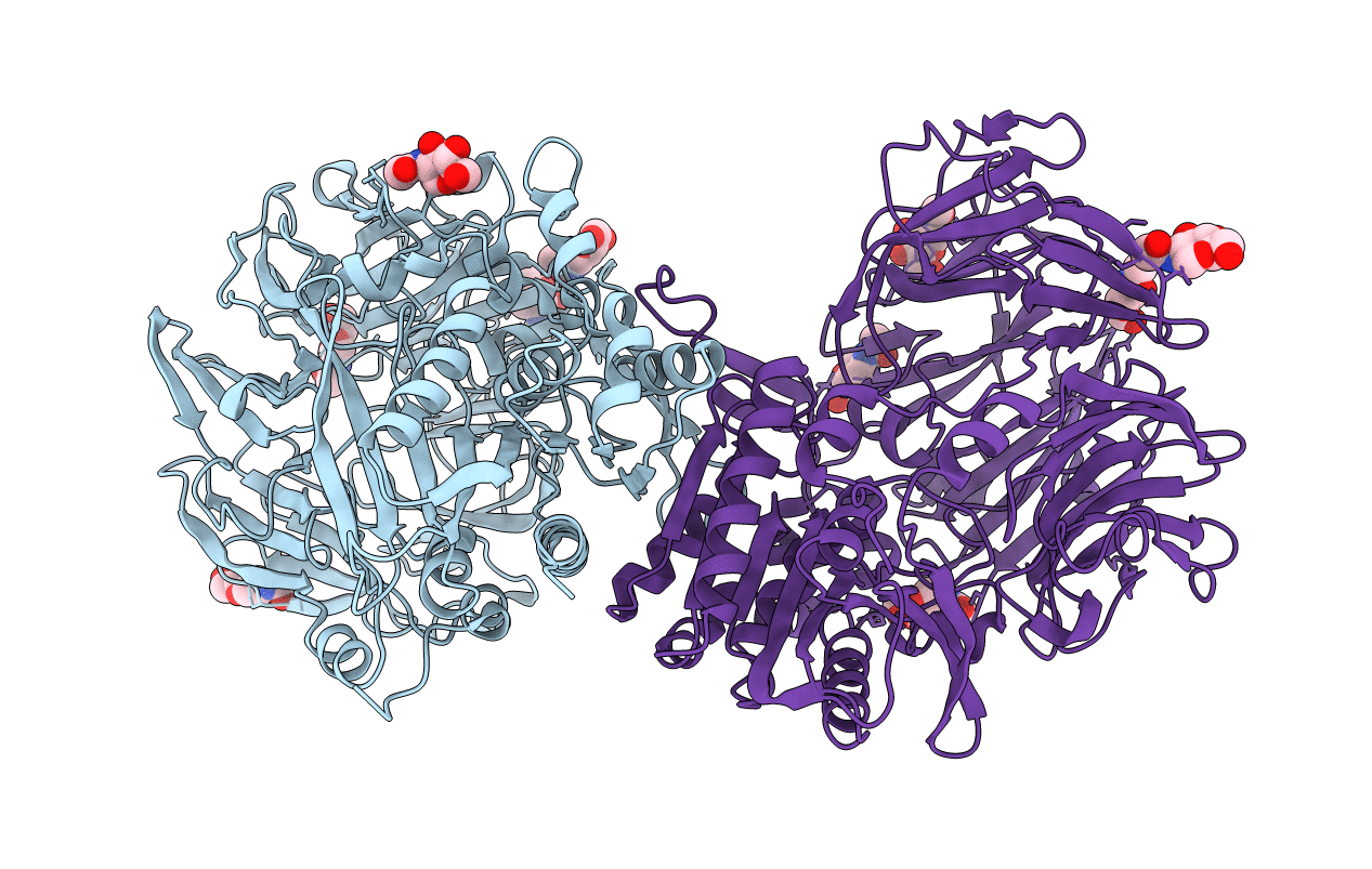 1J2E image