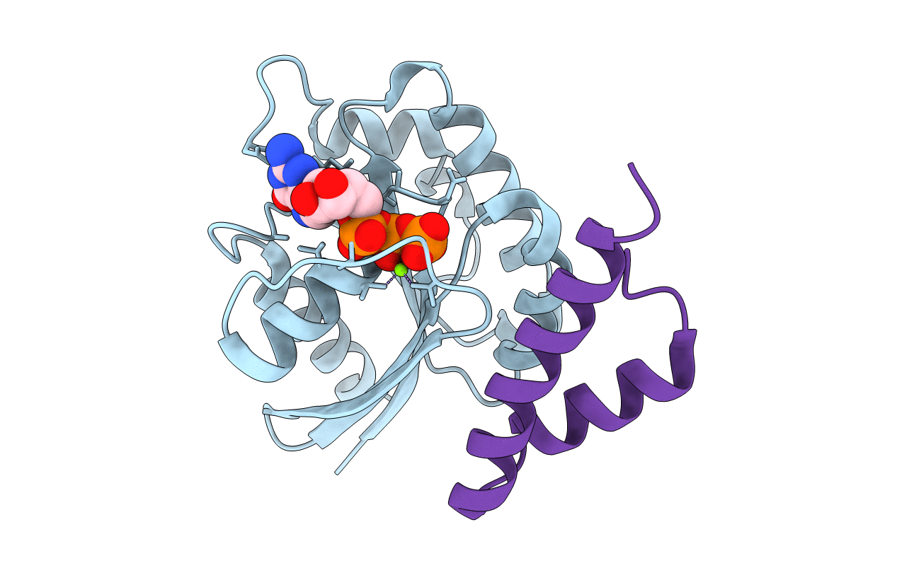 1J2J image