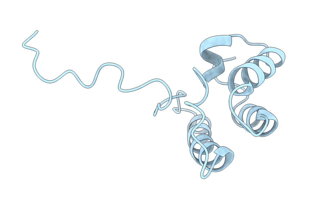 1J2N image