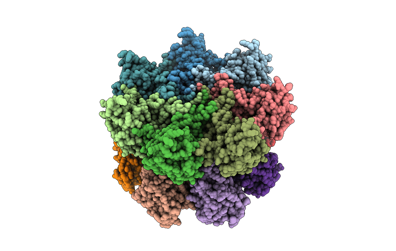 1J2Q image