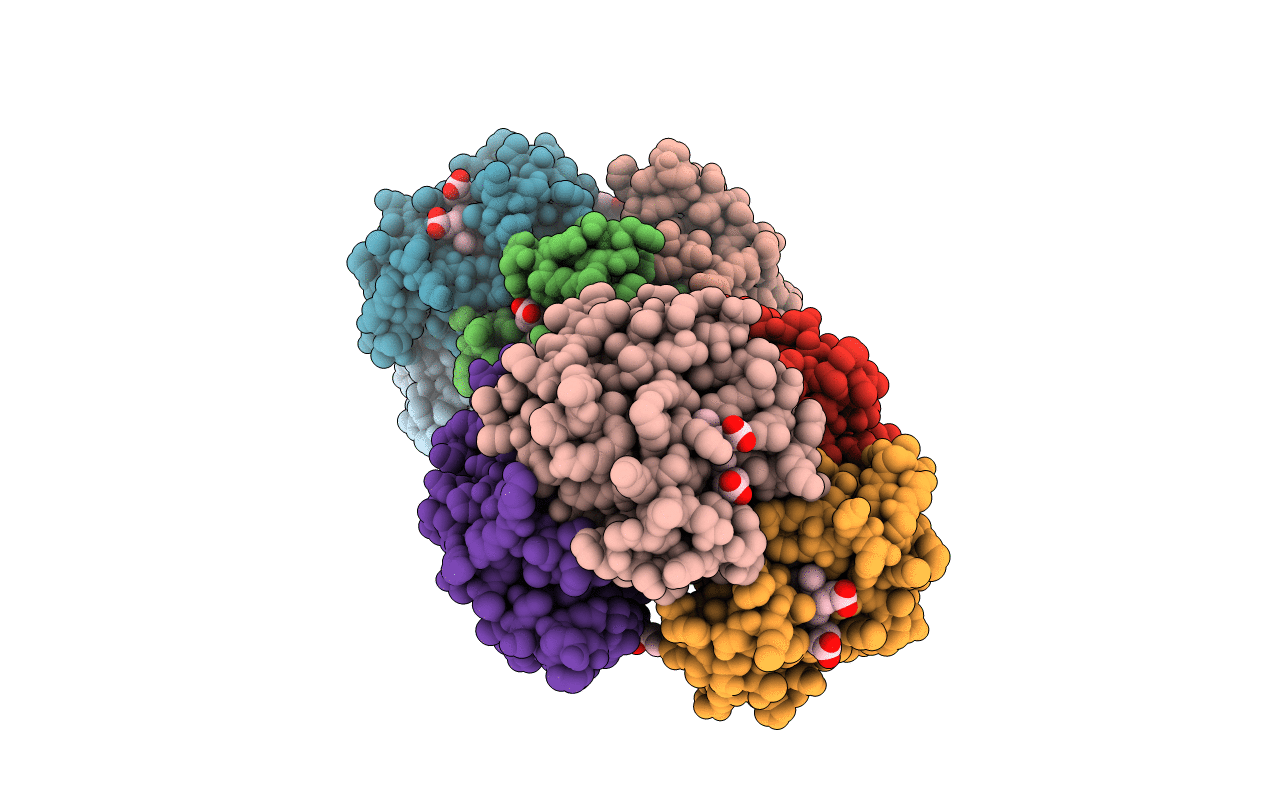 1J40 image
