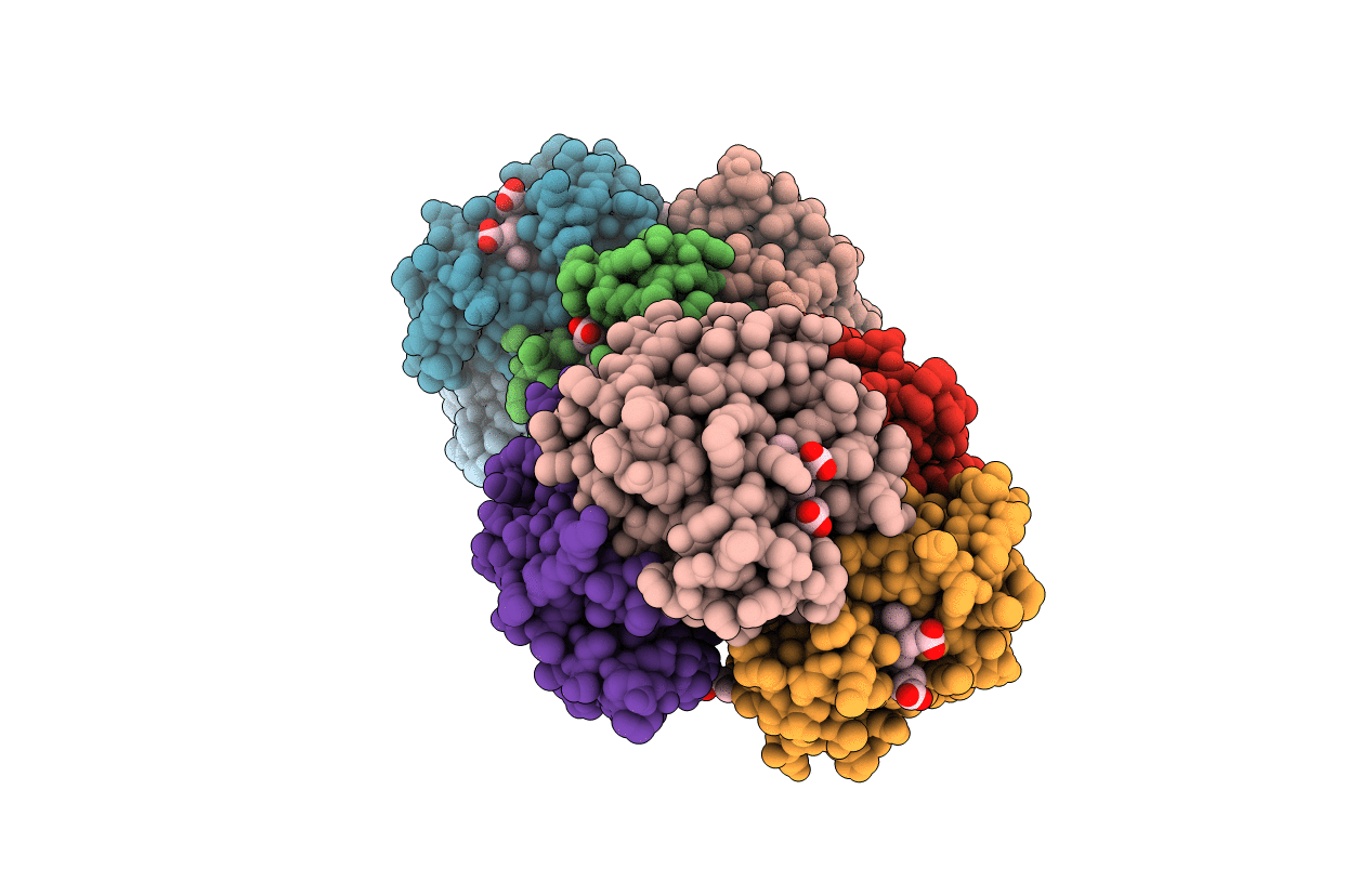 1J41 image