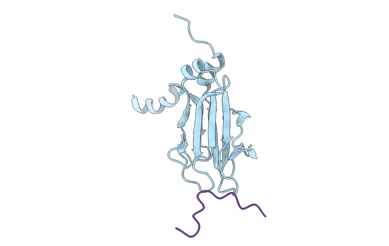 1J4P image