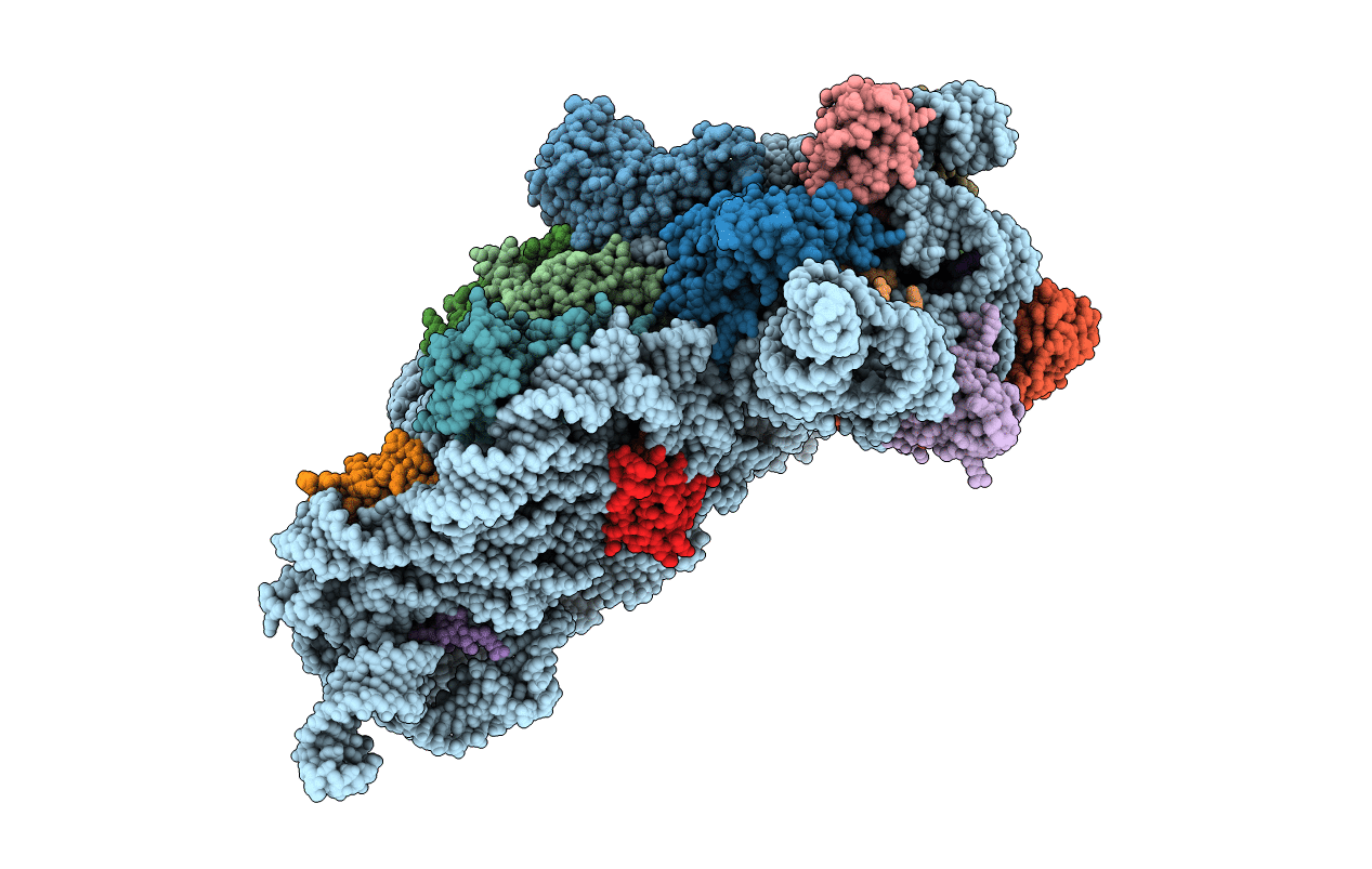 1J5E image