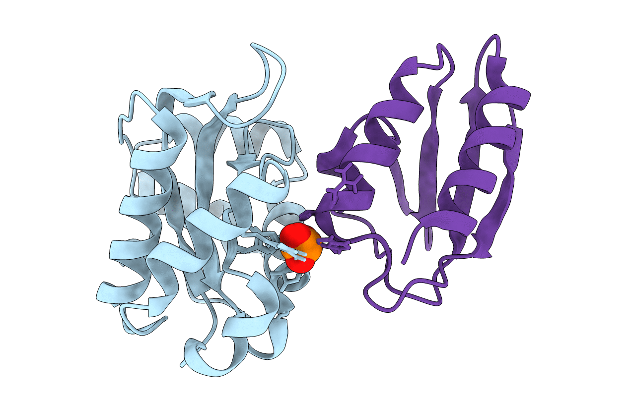 1J6T image